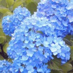 201206051606000.jpg